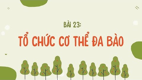 Bài 23: Tổ chức cơ thể đa bào (phần 1)- Khoa học tự nhiên lớp 6- Sách Kết nối tri thức...- [OLM.VN]