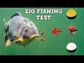 How do carp react to zig rigs first takes ever filmed underwater