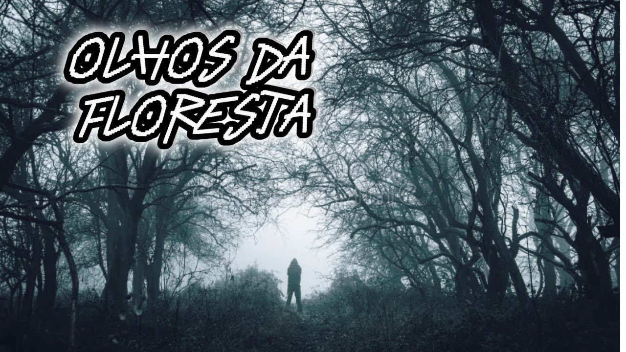 OLHOS NA FLORESTA