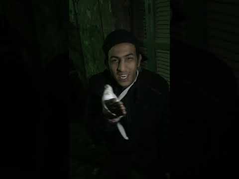 شتايم حمو بيكا ومجدى شطه وكزبره وحنجره مسخره 