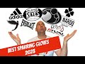 Fit2box top 10 boxing sparring gloves 2023