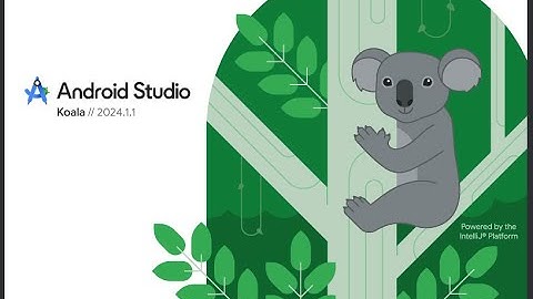 Android Studio - Koala | 2024.1.1 | What