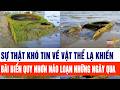 Sự thật khó tin về vật thể lạ khiến Bãi biển Quy Nhơn náo loạn những ngày qua