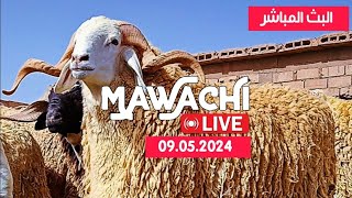 MAWACHI LIVE 09.05.2024