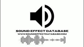 Man Says Obviously Sound Effect