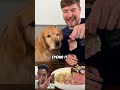 MrBeast dog $1 vs $10000 Steak #mrbeast #mrbeastchallenge #mr #video #shorts #viral #youtubeshorts