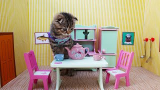 Little kitten in his miniature kitchen- How my pets became friends