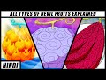 All Devil Fruits Explained in Hindi - One Piece 2019