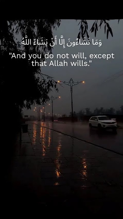 Surah Al-Insan [76:30] #aesthetic #fypシ゚viral #ytshorts #shorts #islam #islamicshorts #islamic