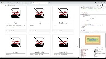 CS50 Web Commerce | Submission Video