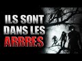 Ils sont dans les arbres  creepypasta fr