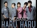 BIGBANG Haru Haru 1HOUR BIGBANG Haru Haru 1HOUR