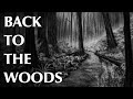 There is Something in the Woods Part Two | Back to the Woods