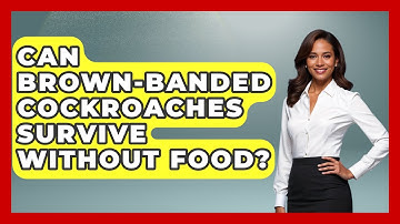 Can Brown-banded Cockroaches Survive Without Food? - Insects and Invaders