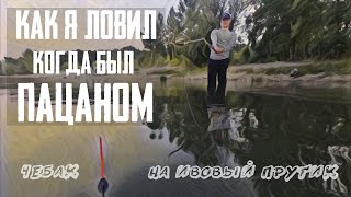 Рыбалка КАК В ДЕТСТВЕ / Плотва на ивовый прутик