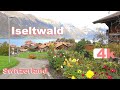 SWITZERLAND - Suiza - ITSELWALD - LAKE BRIENZ - ZERMATT - SPIEZ - THUN - GOLDIWIL - OBERHOFEN - 4K