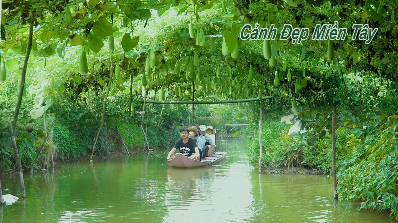 phong cảnh miền tây  Update  Cảnh Đẹp Miền Tây Có 102 - The Best Places To Visit Western Vietnam.
