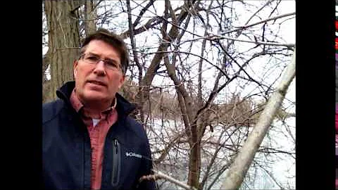 Terry Rees blog: upcoming Muskoka Summit links env...