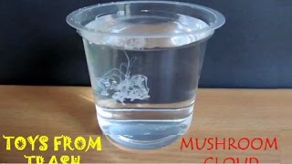 MUSHROOM CLOUD - MARATHI - A falling milk drop in water makes a mushroom cloud!