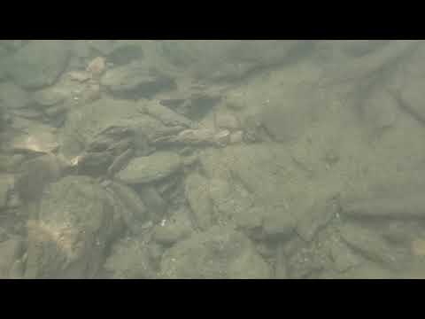 snorkel lift Spring Valley County Park Creek Snorkel Video 1