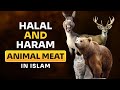 Halal Haram Animal Meat In Islam 