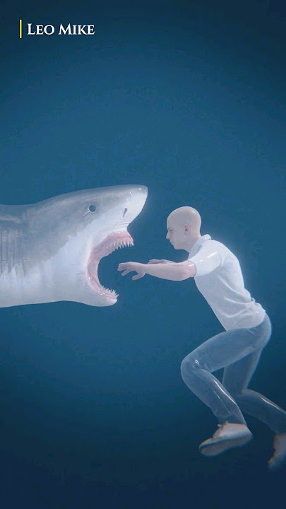 How To Survive Shark Attack?