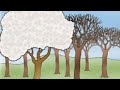 زهرة اللوز محفوظات سنة خامسة Englosigma 