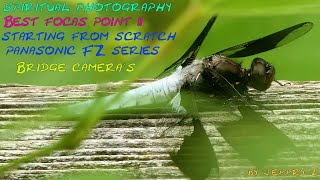 best focus point II from scratch Panasonic fz series bridge cameras by Jeffry z screenshot 1