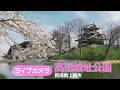 新潟県上越市「高田城址公園 」JCVお花見ライブカメラ