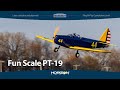 Hangar 9 fun scale pt19 pnp