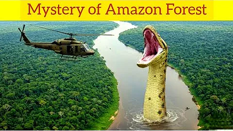 Amazon Rainforest, 10 Facts You Didn’t Know | Dangerous Animals & Hidden Secrets | True Explainer 