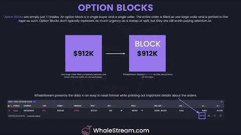 Option Flow Webinar - WhaleStream & MoneyLine