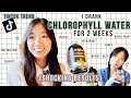 Chlorophyll Water for 2 Weeks Results | How to Lose Weight, Clear Acne, Rid Body Odor Naturally?