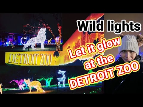 Wild lights at the Detroit Zoo ✨️ tour /Dhanna the Explorer #detroit #zoo #detroitzoo #fyp #explore