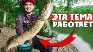 картинка: ЛЕТО, ЖАРА... А мы дубасим ЩУКУ! Как ловить ЩУКУ В ЛЕТНЮЮ ЖАРУ?!