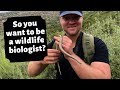 How to become a wildlife biologist