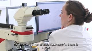 Een Kijkje Achter De Schermen Bij De Pathologie St. Antonius Ziekenhuis