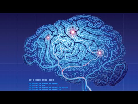 Mind Body Medicine and the Implications of Brain Evolution for Clinical Practice