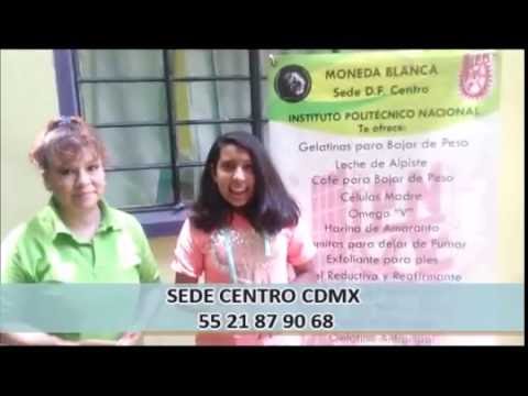 camera iphone 8 plus apk Productos del IPN - No importa la edad, emprende con los TRATAMIENTOS IPN