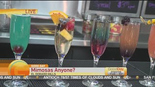 Friends with Benedicts Mimosa House