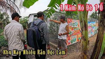 Khu Vực Này Nông Dân Không Ai Dám Ra Đồng Vì Rắn Độc Rất Nhiều | Mười Thương SB