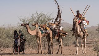 Amazing Mat Tents of North Ethiopia  Danakil Desert Dwellers