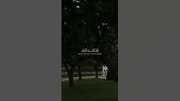 ماهر المعيقلي   سورة الزمر 🤍  #اكسبلور #قرآن #قران كريم #راحة نفسية #ماهر المعيقلي #سورة الزمر