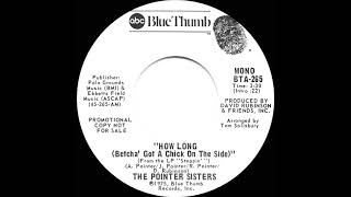 1975 Pointer Sisters - How Long (Betcha’ Got A Chick On The Side) (mono radio promo 45)