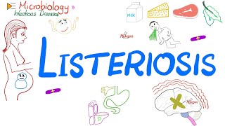 Listeriosis (disease) | Listeria Food Poisoning | Microbiology 🧫 & Infectious Disease