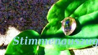 B 1 La Fanfare Du Printemps Temp 65