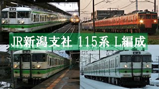 【走行映像集】JR東日本 新潟支社 115系 L編成(4両編成) 信越本線・白新線 ほか