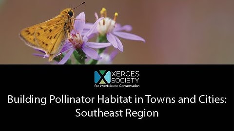 Building Pollinator Habitat in Towns and Cities: Southeast Region