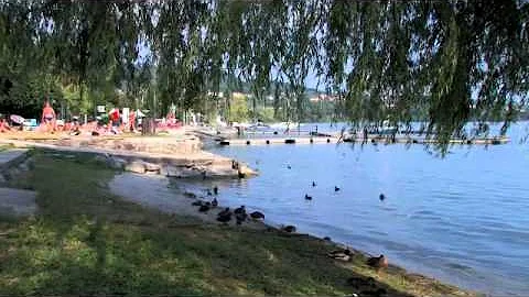 Cosa c'è da vedere sul Lago di Viverone?