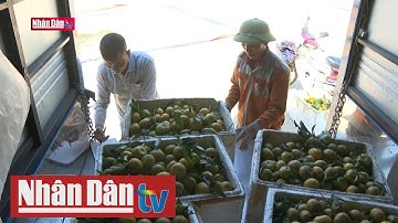 Tìm hướng tiêu thụ nông sản tại Bắc Kạn